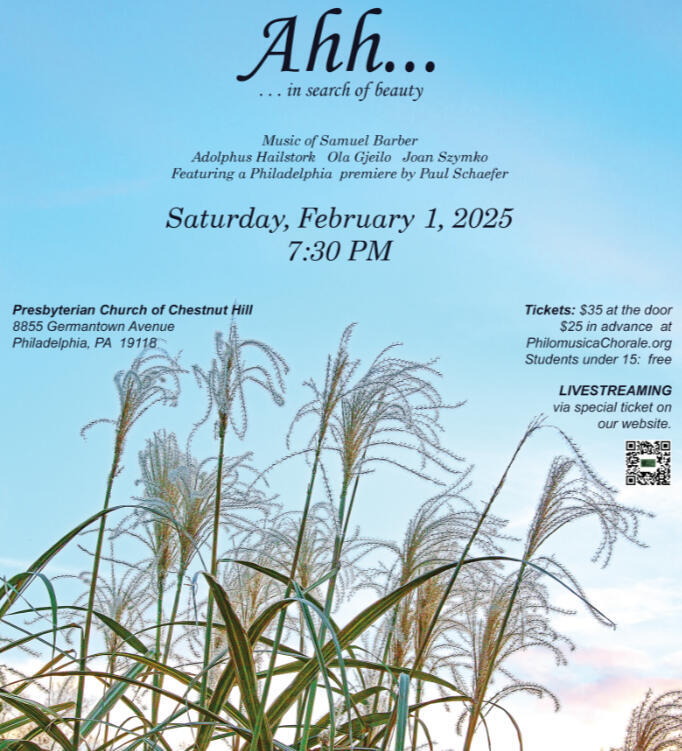 Ahh...in search of beauty poster
